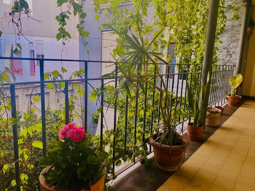 Innsevillaluxury Apartment Pilatos 외부 사진